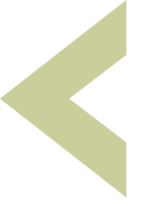 Proveer Logo Arrow