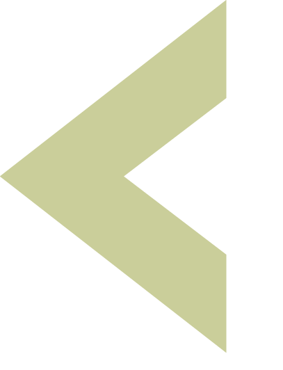 Proveer Logo Arrow